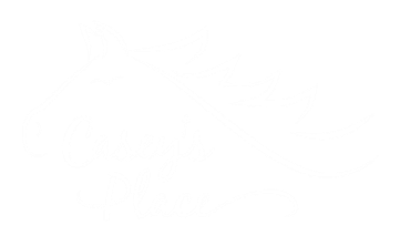 Casey's Place provides a restorative environment of learning in which children regain hope, develop confidence, and discover their self-worth.